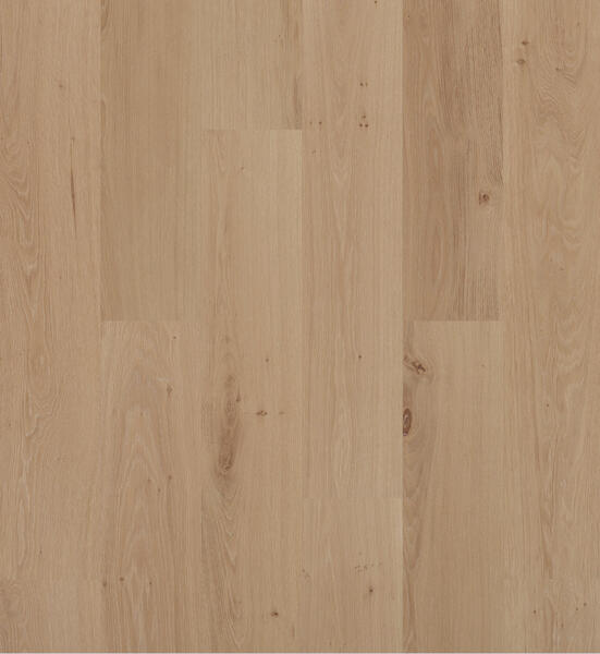 ambre naturel_swf_berryalloc_dsh