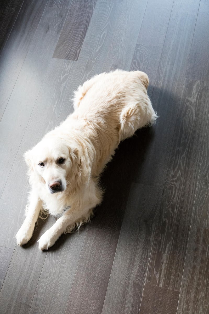 Parquet - Les Exclusifs - Oak Naturel 02 Abyss