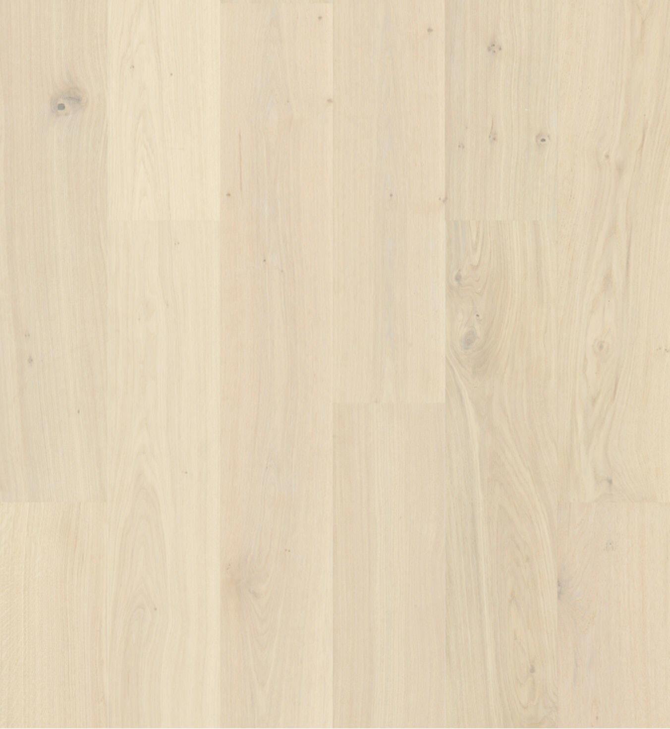 Strong wood floors - Parqwood - Oak Naturel Albatre Albatre