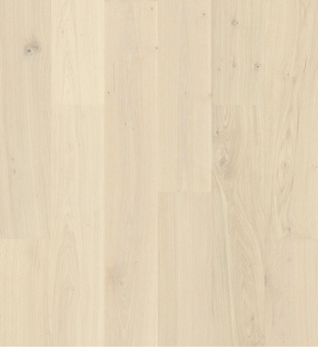 Strong wood floors - Parqwood - Oak Naturel Albatre Albatre