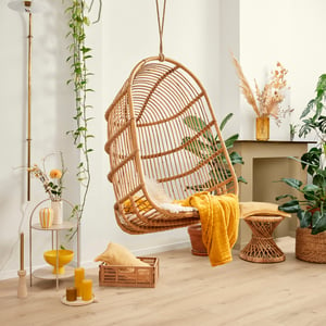 Murs verts, sol en bois et plantes… adoptez une déco au naturel dans le salon !