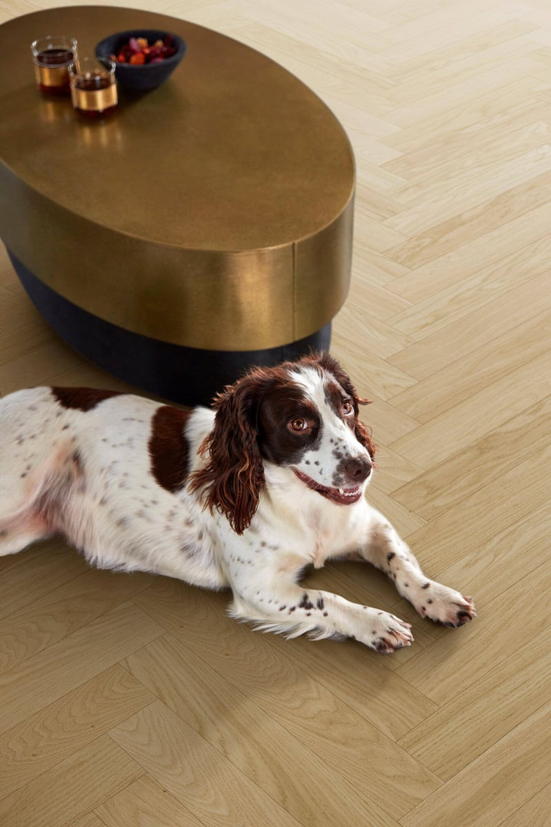Strong wood floors - Parqwood - Oak Calm Nature