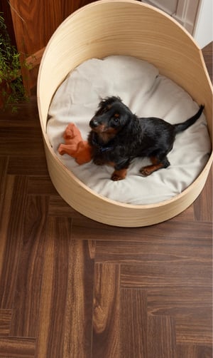 Which is the best flooring for pets?
